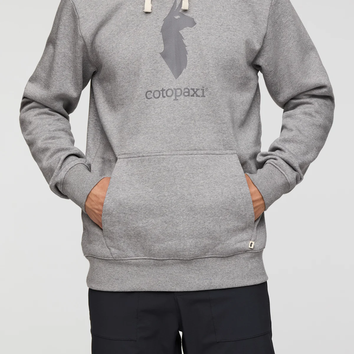 Cotopaxi Llama Pullover Hoodie - Men's - Image 6