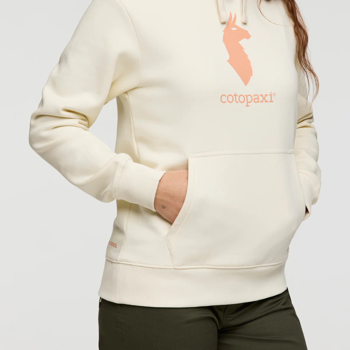 Cotopaxi Llama Pullover Hoodie - Women's - Image 23