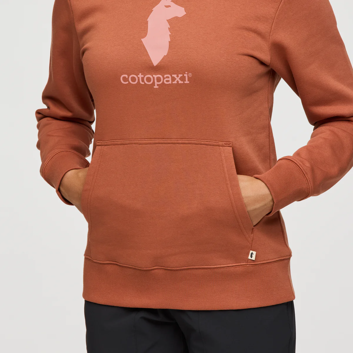 Cotopaxi Llama Pullover Hoodie - Women's - Image 6