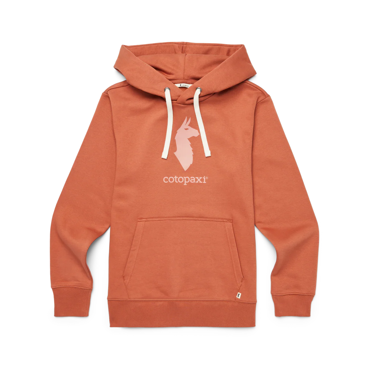 Cotopaxi Llama Pullover Hoodie - Women's - Image 7