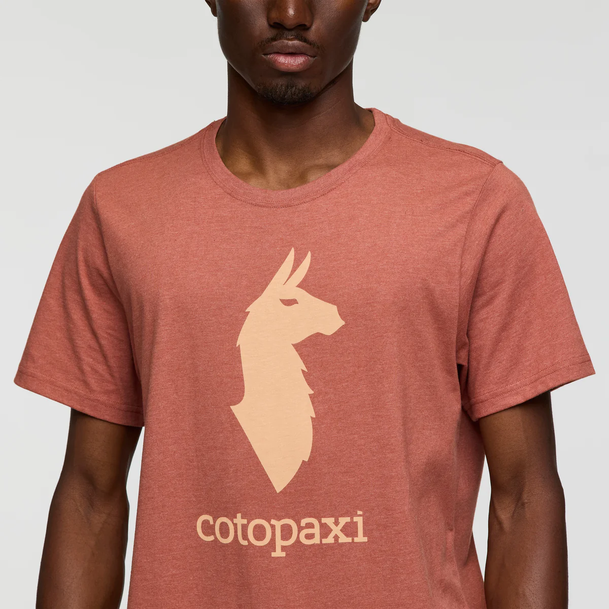 Cotopaxi Llama T-Shirt - Men's - Image 13