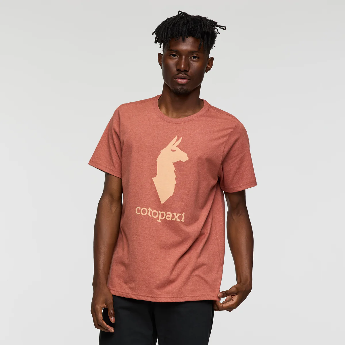 Cotopaxi Llama T-Shirt - Men's - Image 9