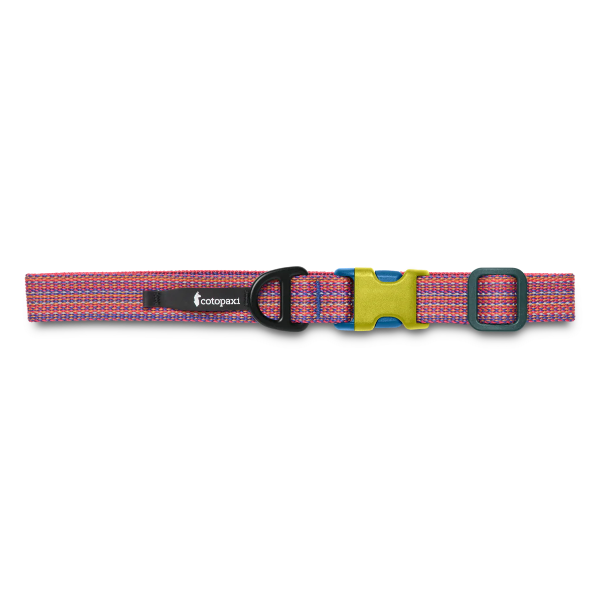 Del Día Dog Collar - Image 2