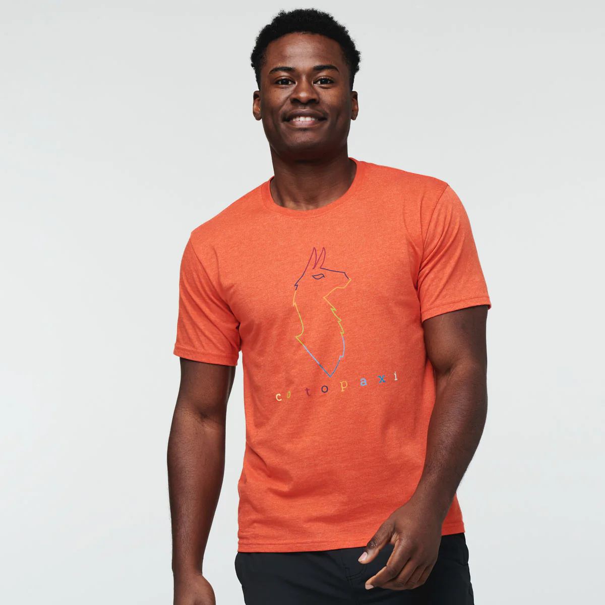 Electric Llama T-Shirt - Men's - Image 4