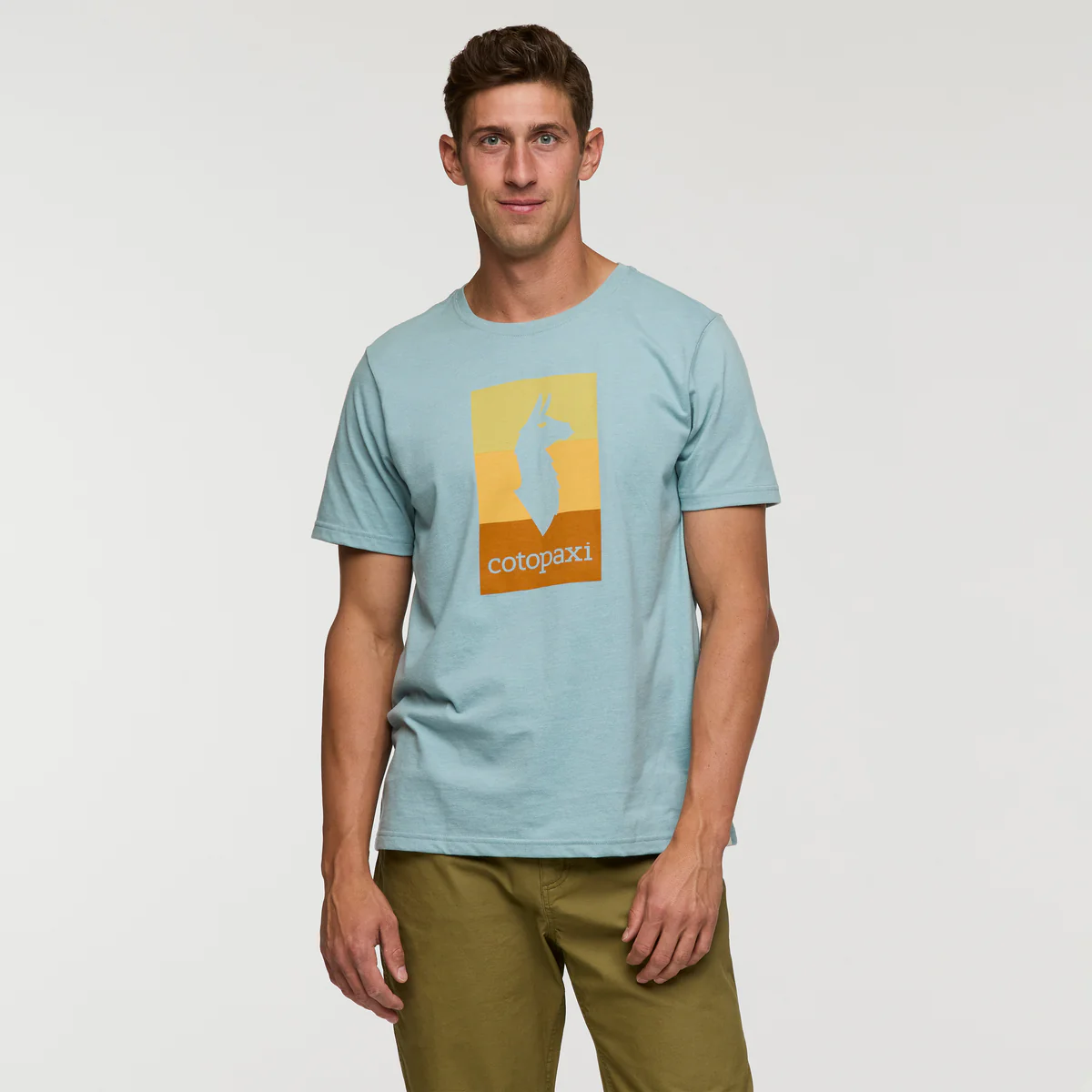 Llama Block T-Shirt - Men's - Image 13