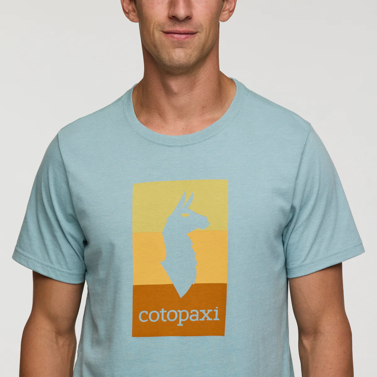 Llama Block T-Shirt - Men's - Image 17