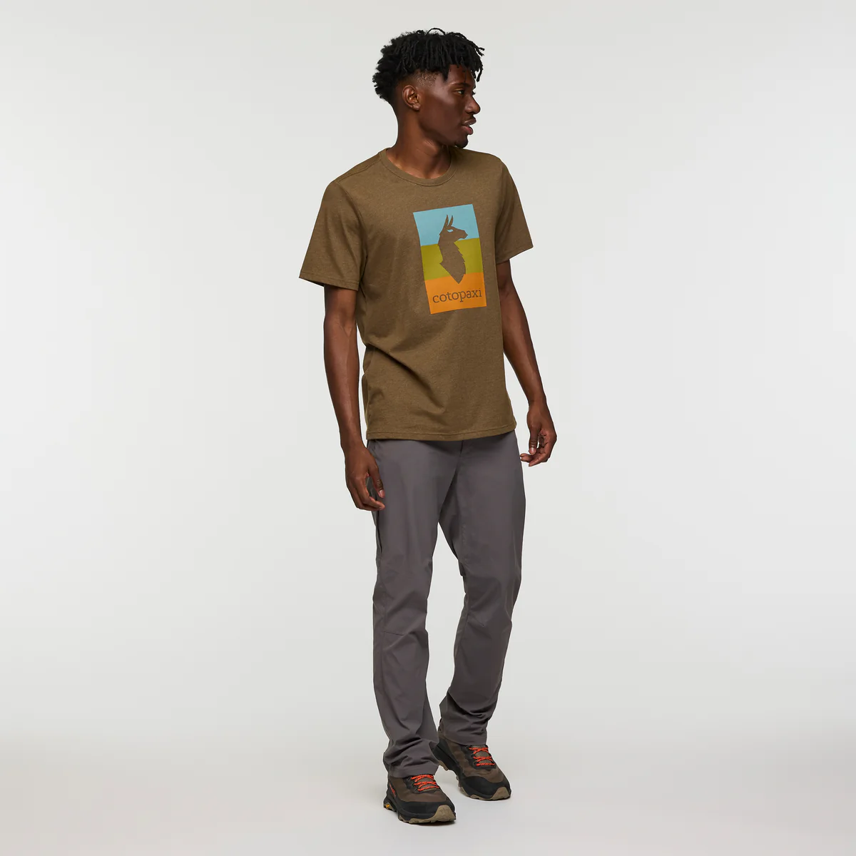 Llama Block T-Shirt - Men's - Image 8