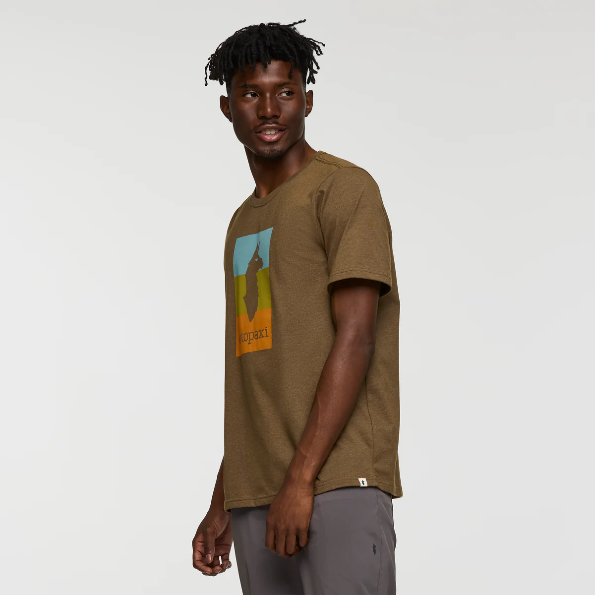 Llama Block T-Shirt - Men's - Image 9