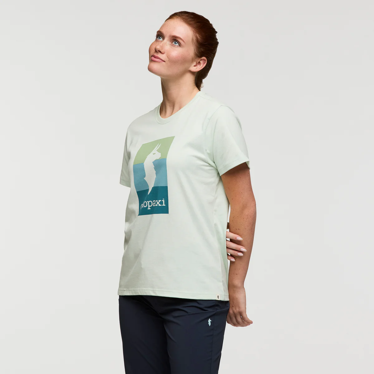 Llama Block T-Shirt - Women's - Image 11