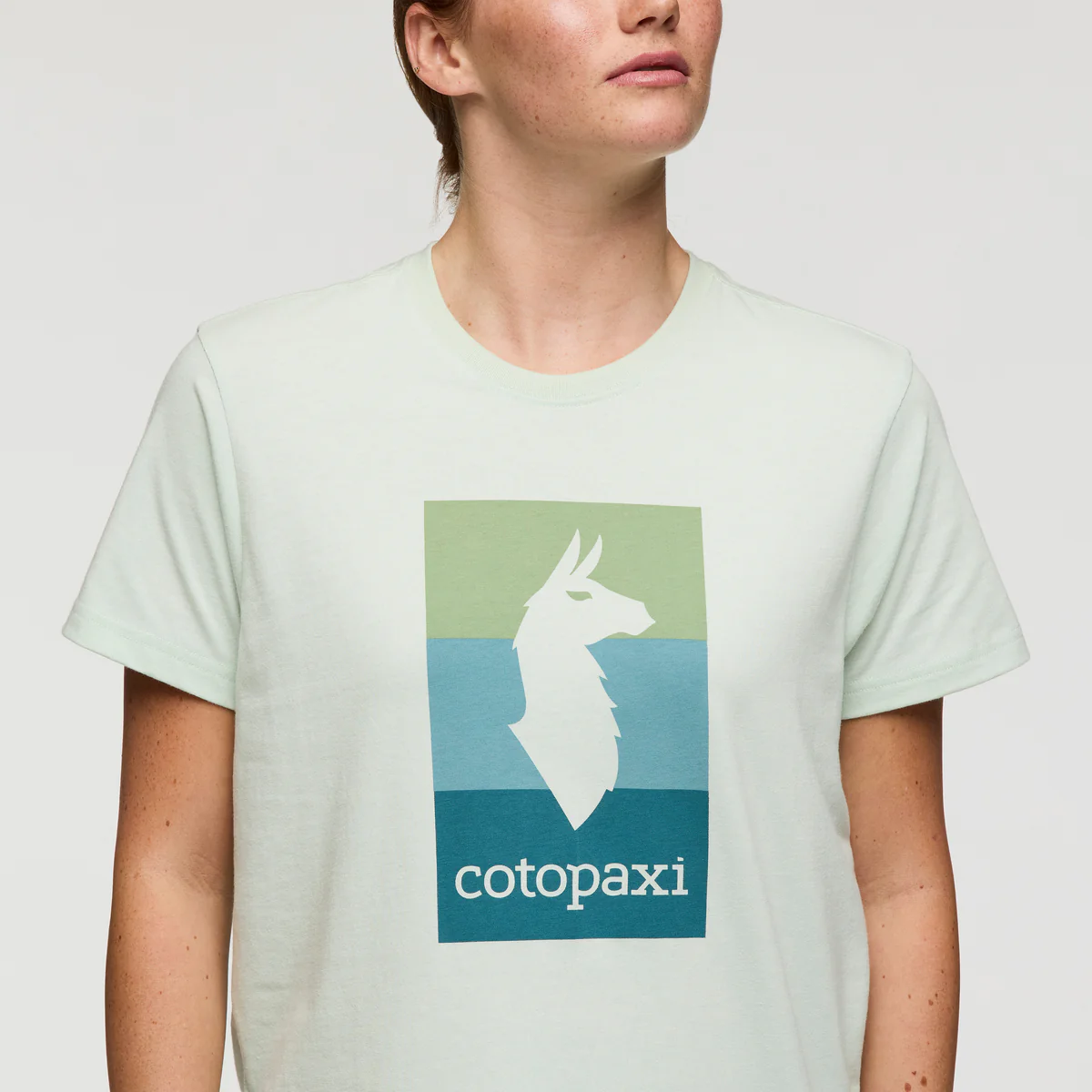 Llama Block T-Shirt - Women's - Image 15