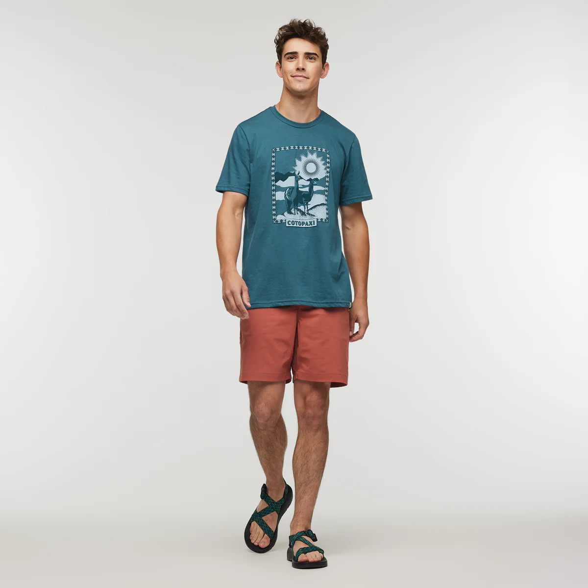 Llama Greetings T-Shirt - Men's - Image 2