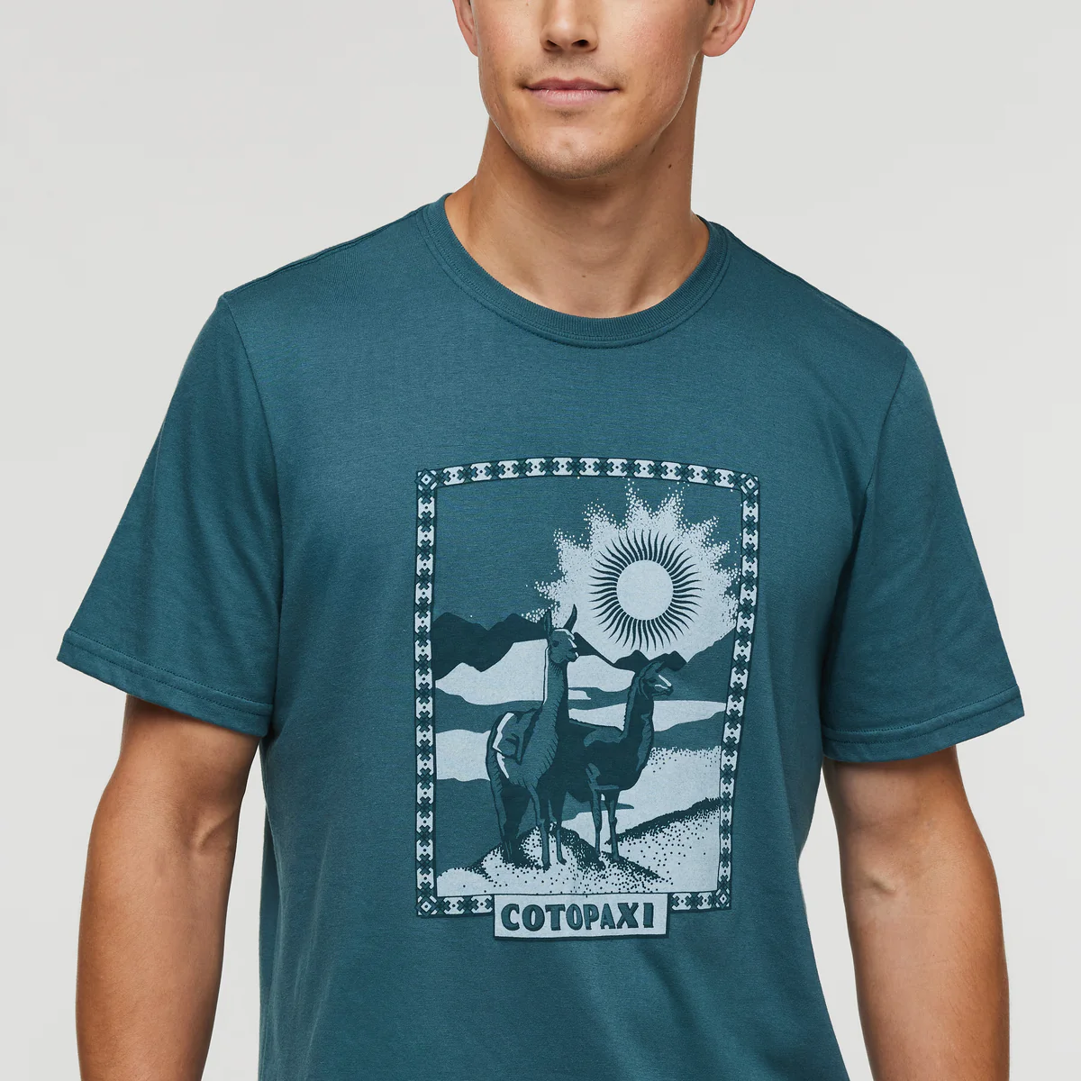 Llama Greetings T-Shirt - Men's - Image 5