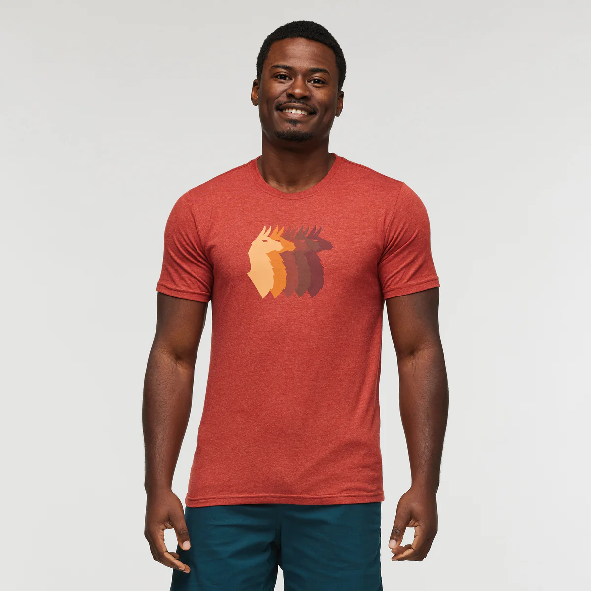 Llama Sequence T-Shirt - Men's - Image 12