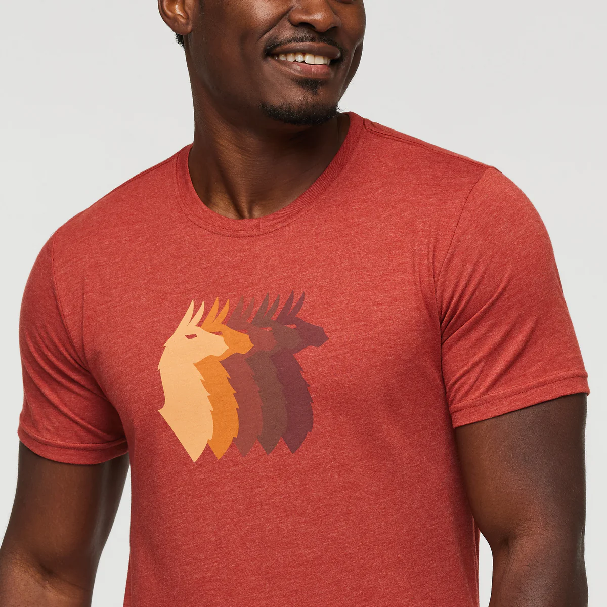 Llama Sequence T-Shirt - Men's - Image 16