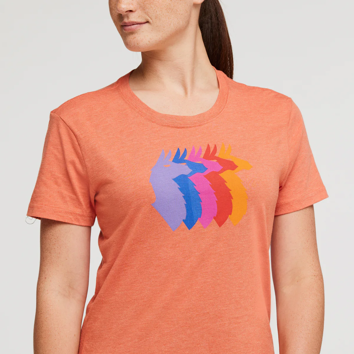 Llama Sequence T-Shirt - Women's - Image 5