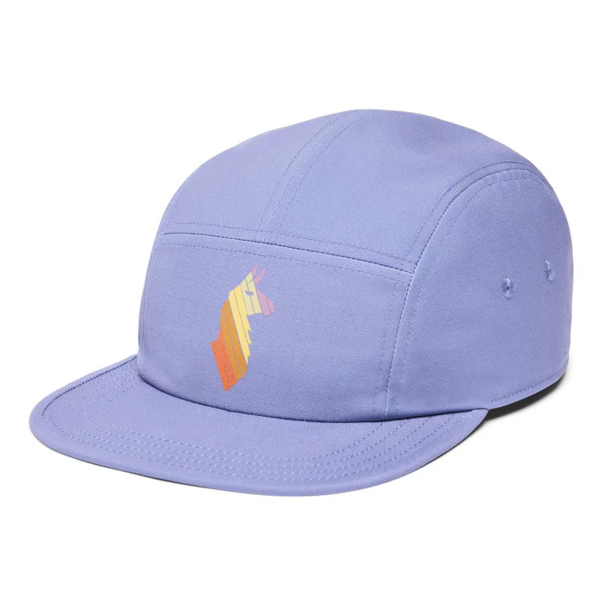 Llama Stripes 5-Panel Hat - Image 5