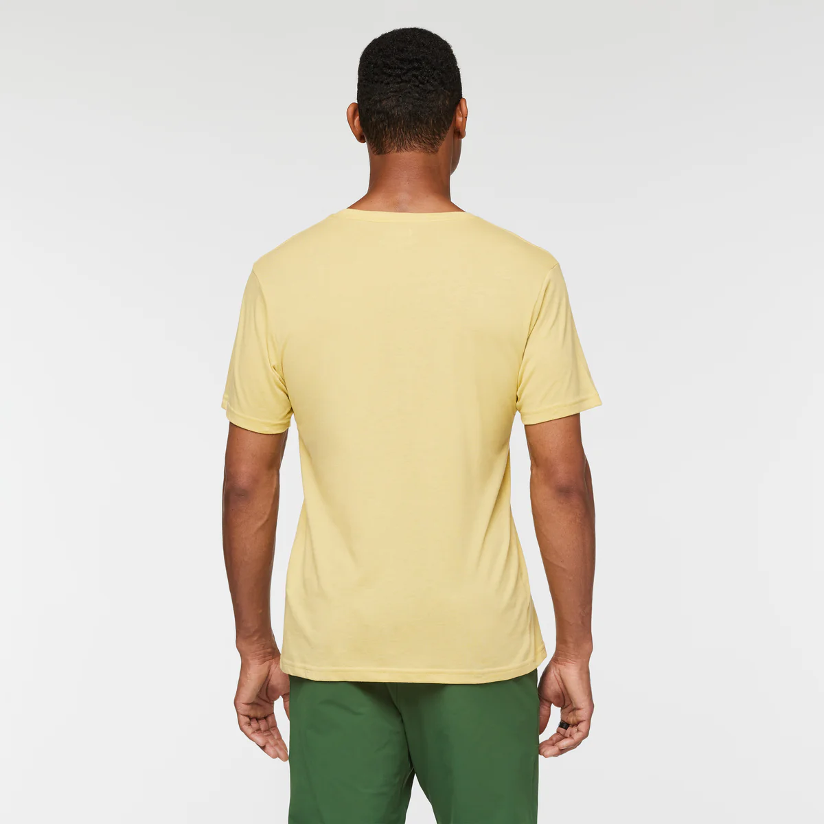 Llama Stripes T-Shirt - Men's - Image 14