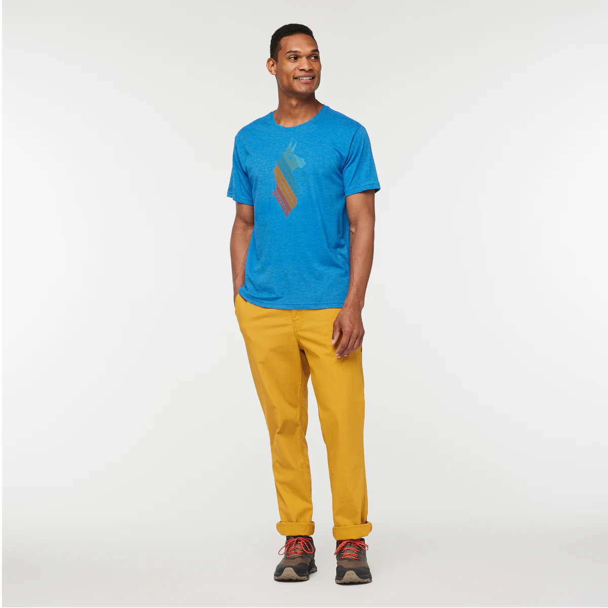 Llama Stripes T-Shirt - Men's - Image 2