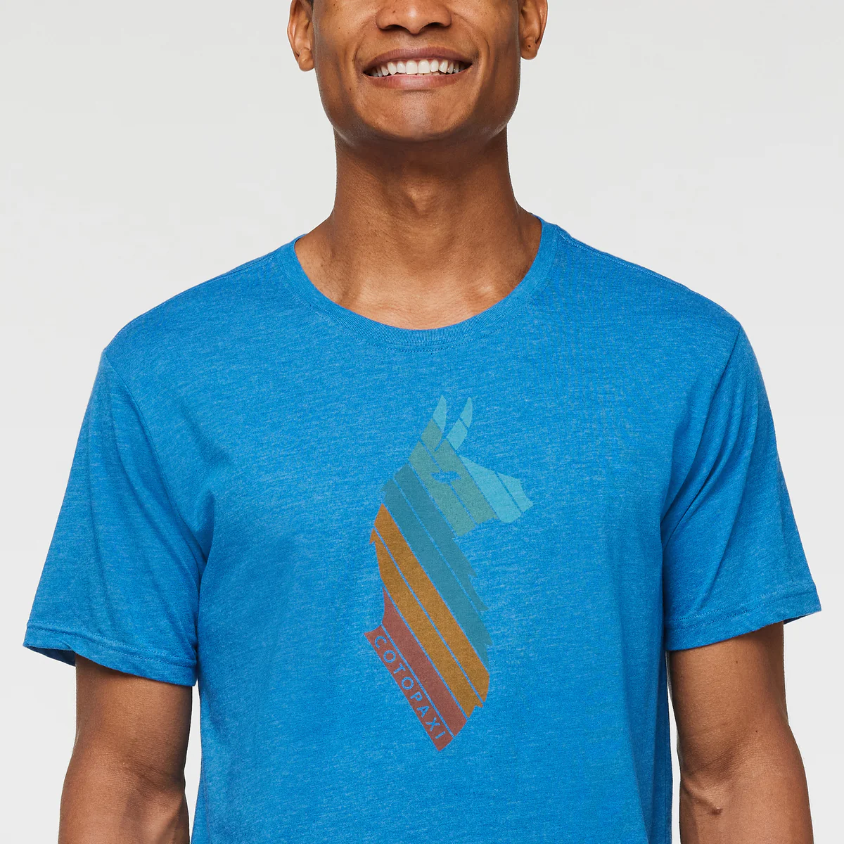 Llama Stripes T-Shirt - Men's - Image 5