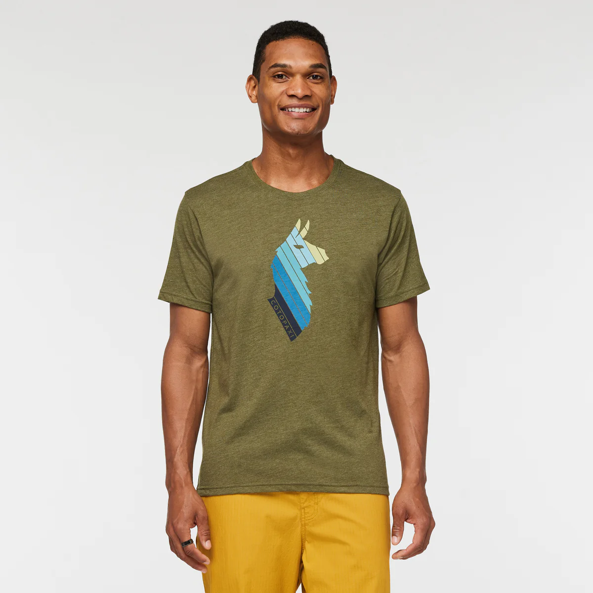 Llama Stripes T-Shirt - Men's - Image 6