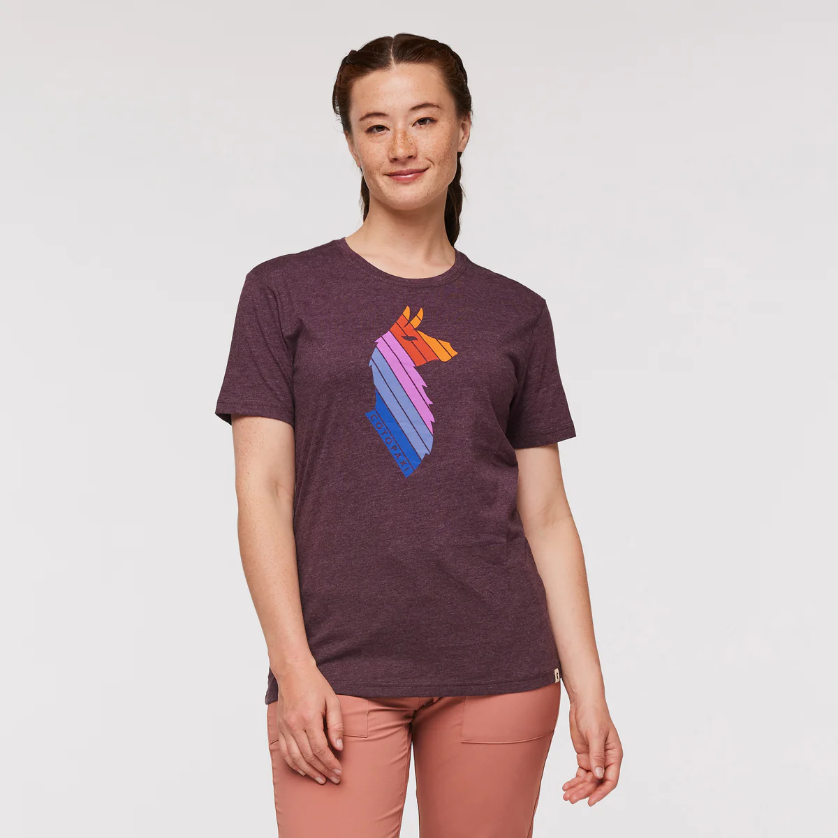 Llama Stripes T-Shirt - Women's - Image 11