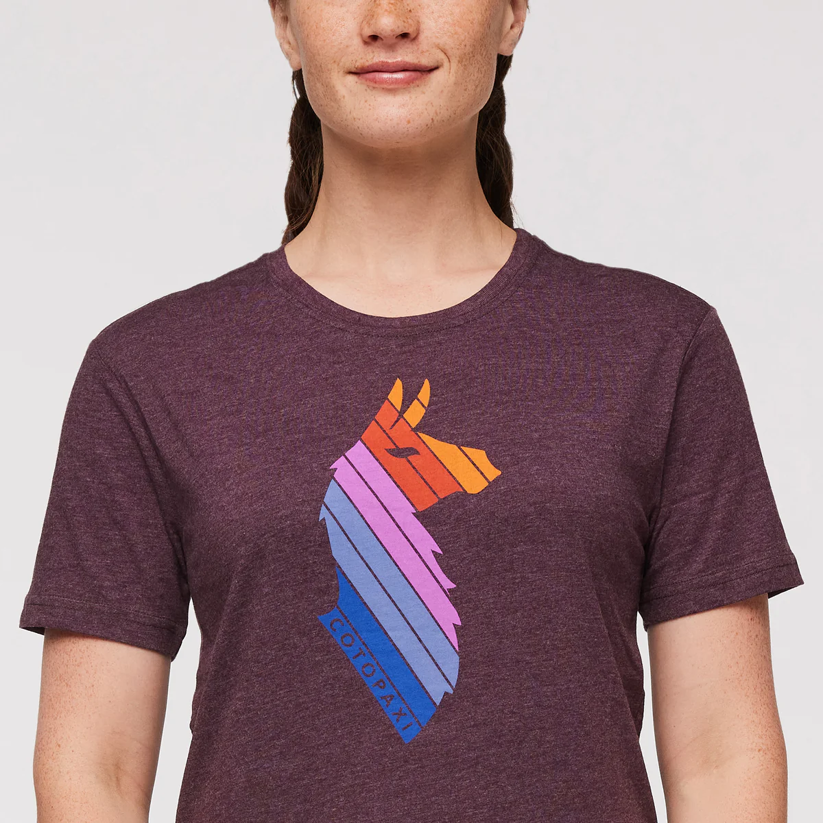 Llama Stripes T-Shirt - Women's - Image 15