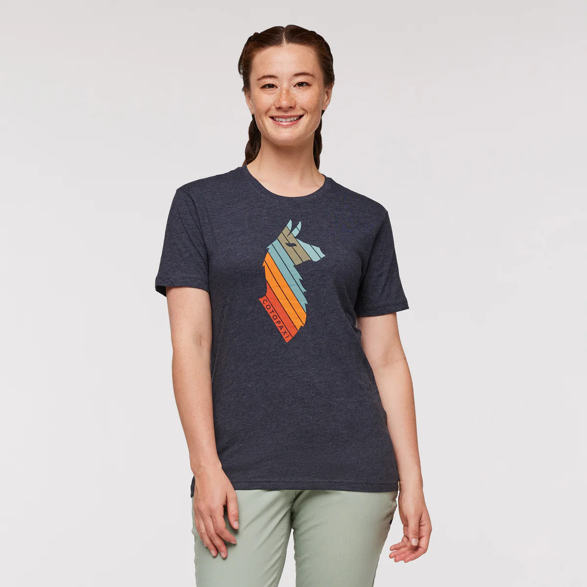 Llama Stripes T-Shirt - Women's - Image 17