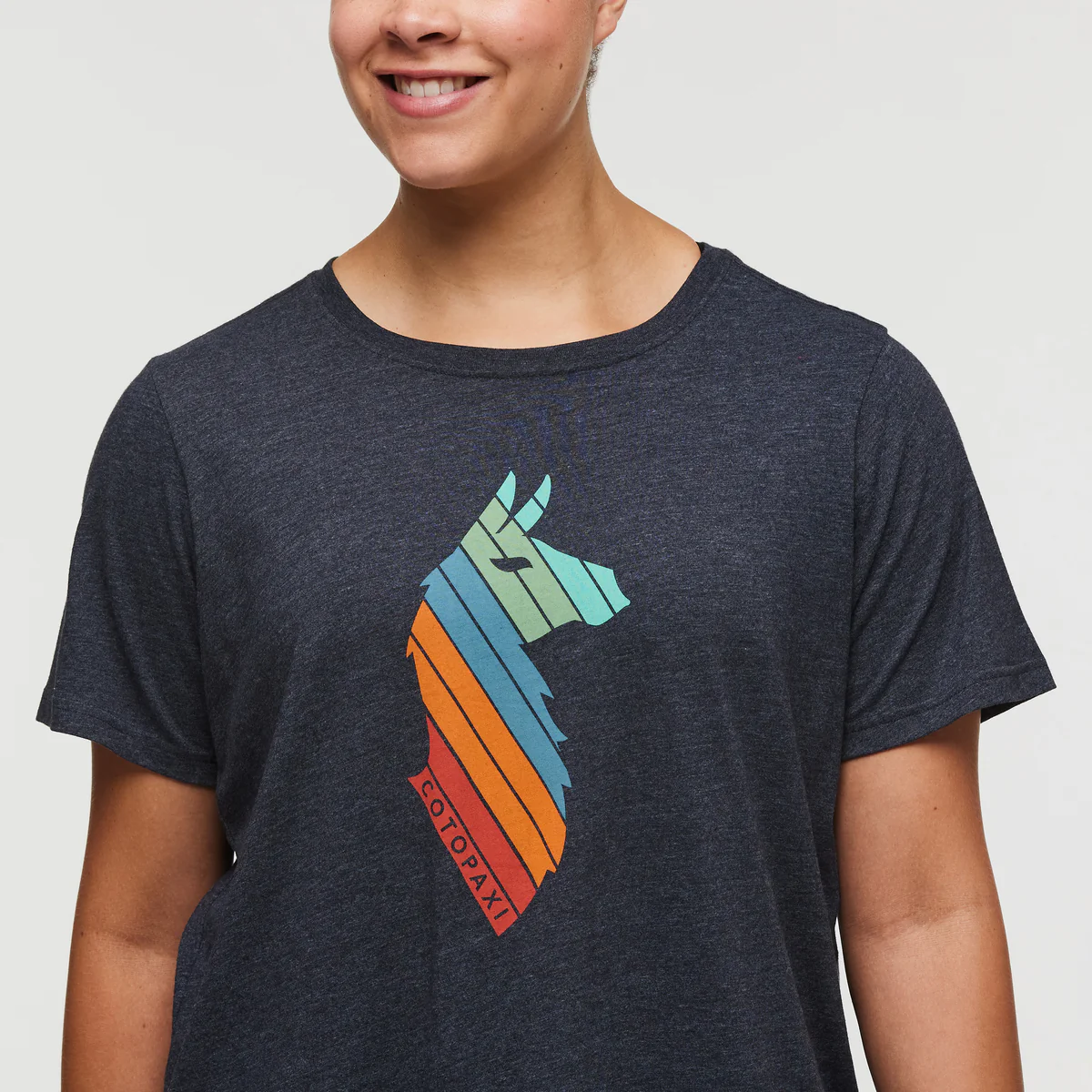 Llama Stripes T-Shirt - Women's - Image 5