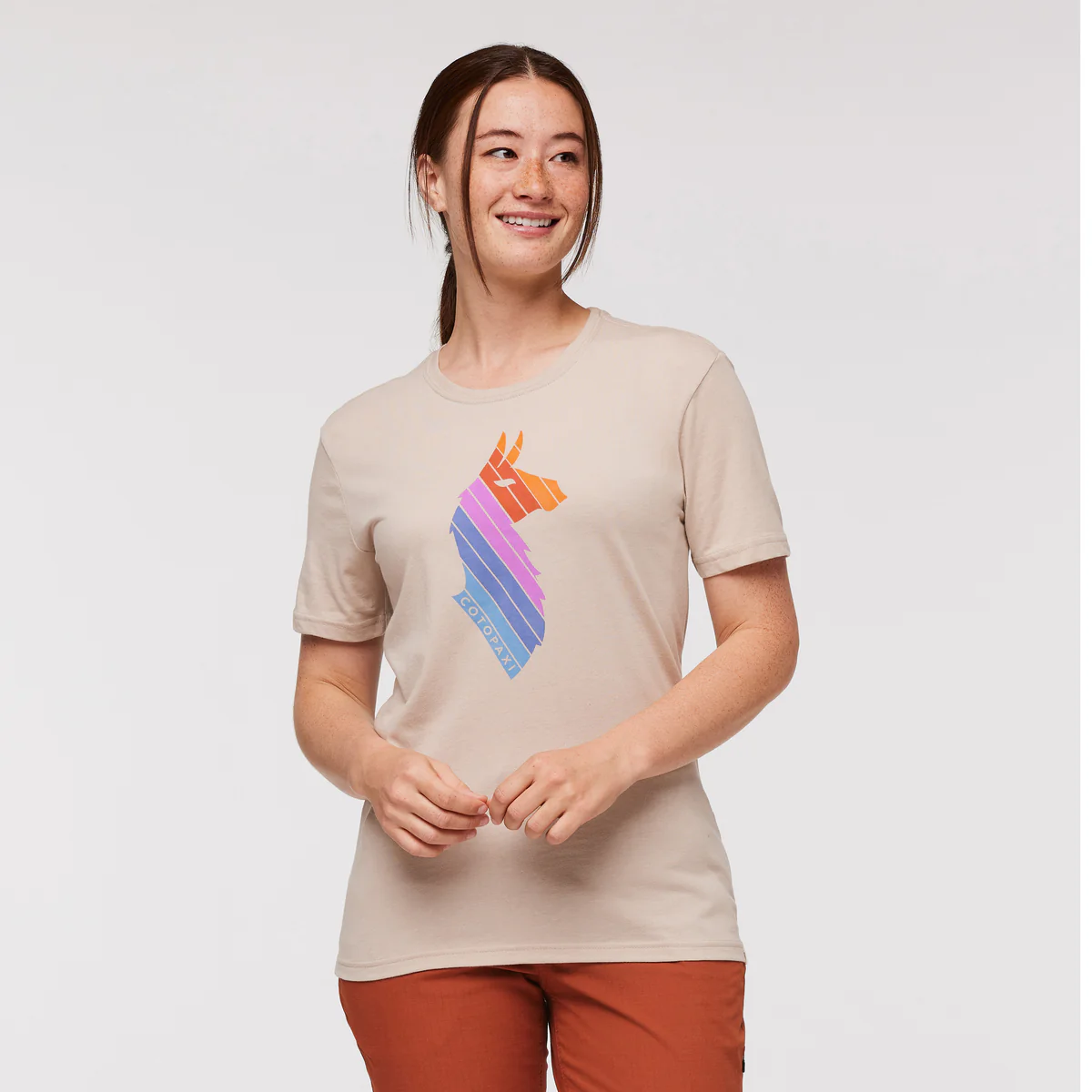 Llama Stripes T-Shirt - Women's - Image 6
