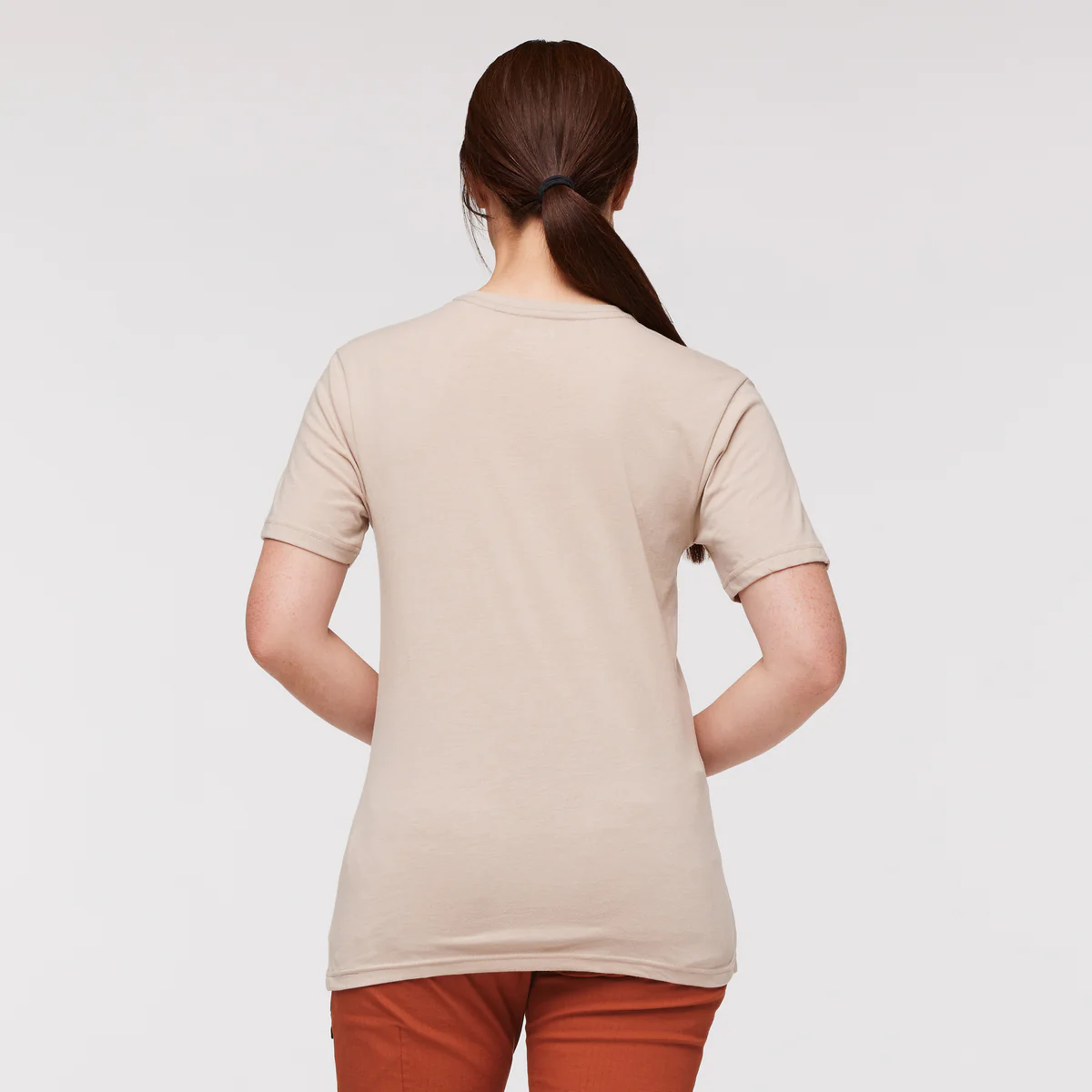 Llama Stripes T-Shirt - Women's - Image 9