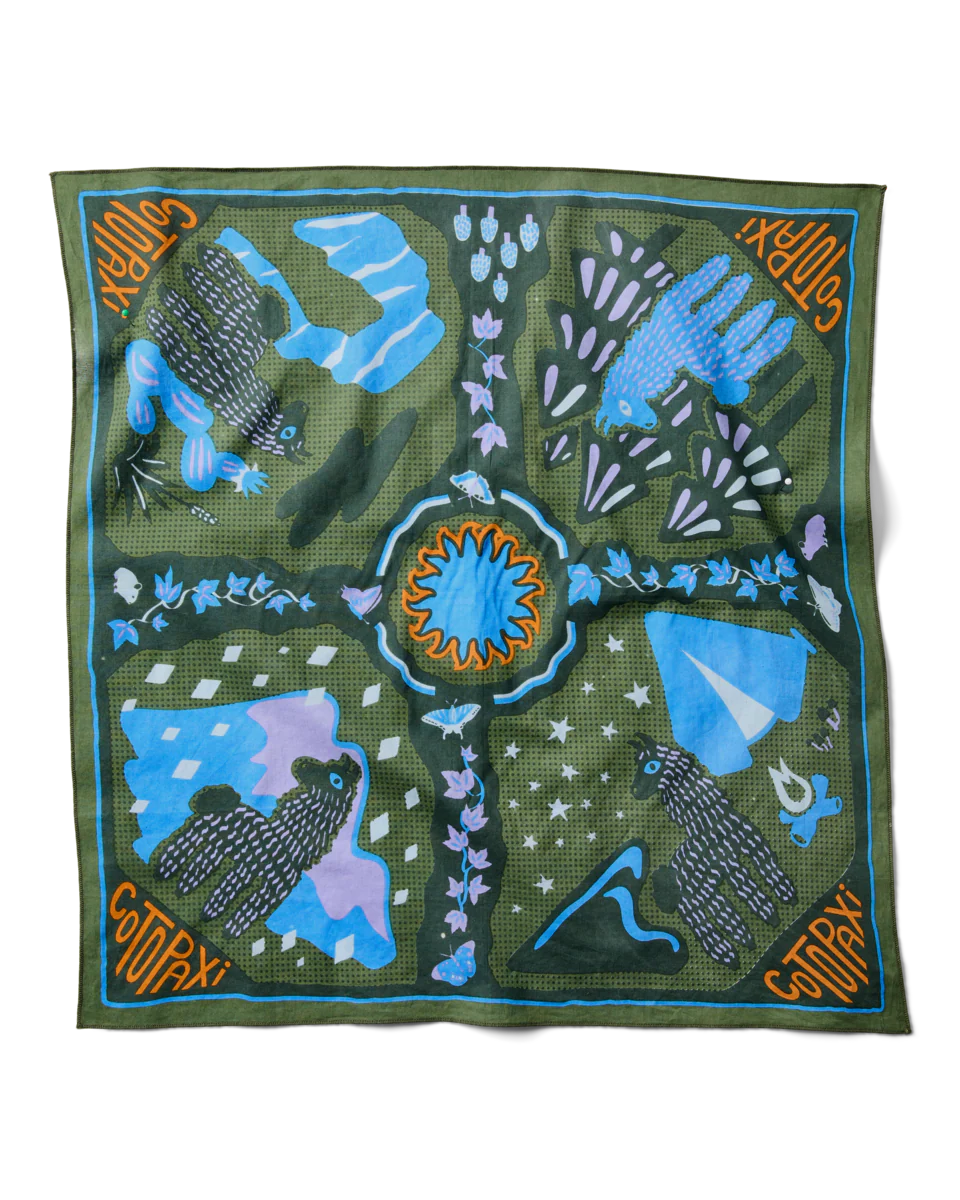 Organic Cotton Bandana - Image 6