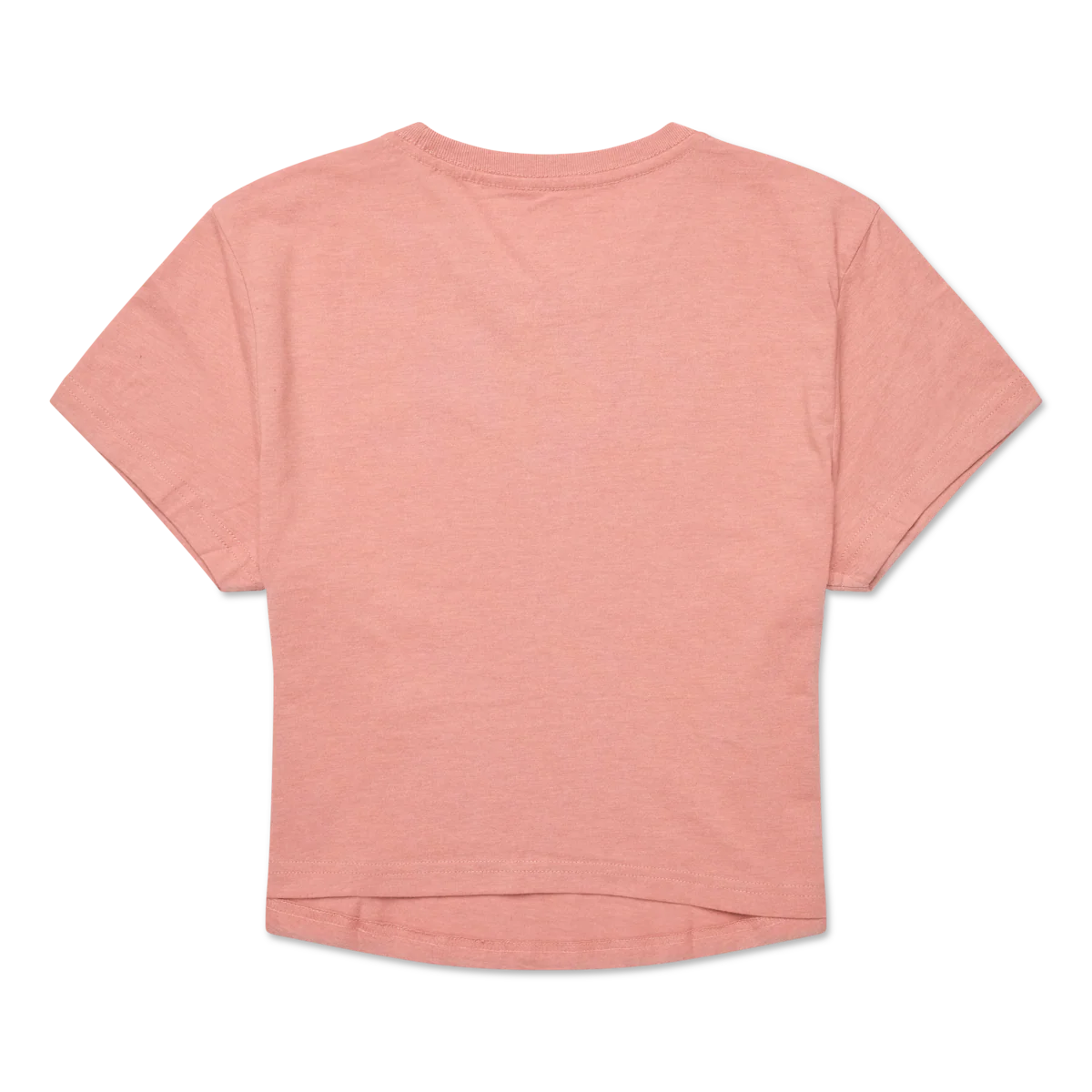 Tiny Llama Crop T-Shirt - Women's - Image 4