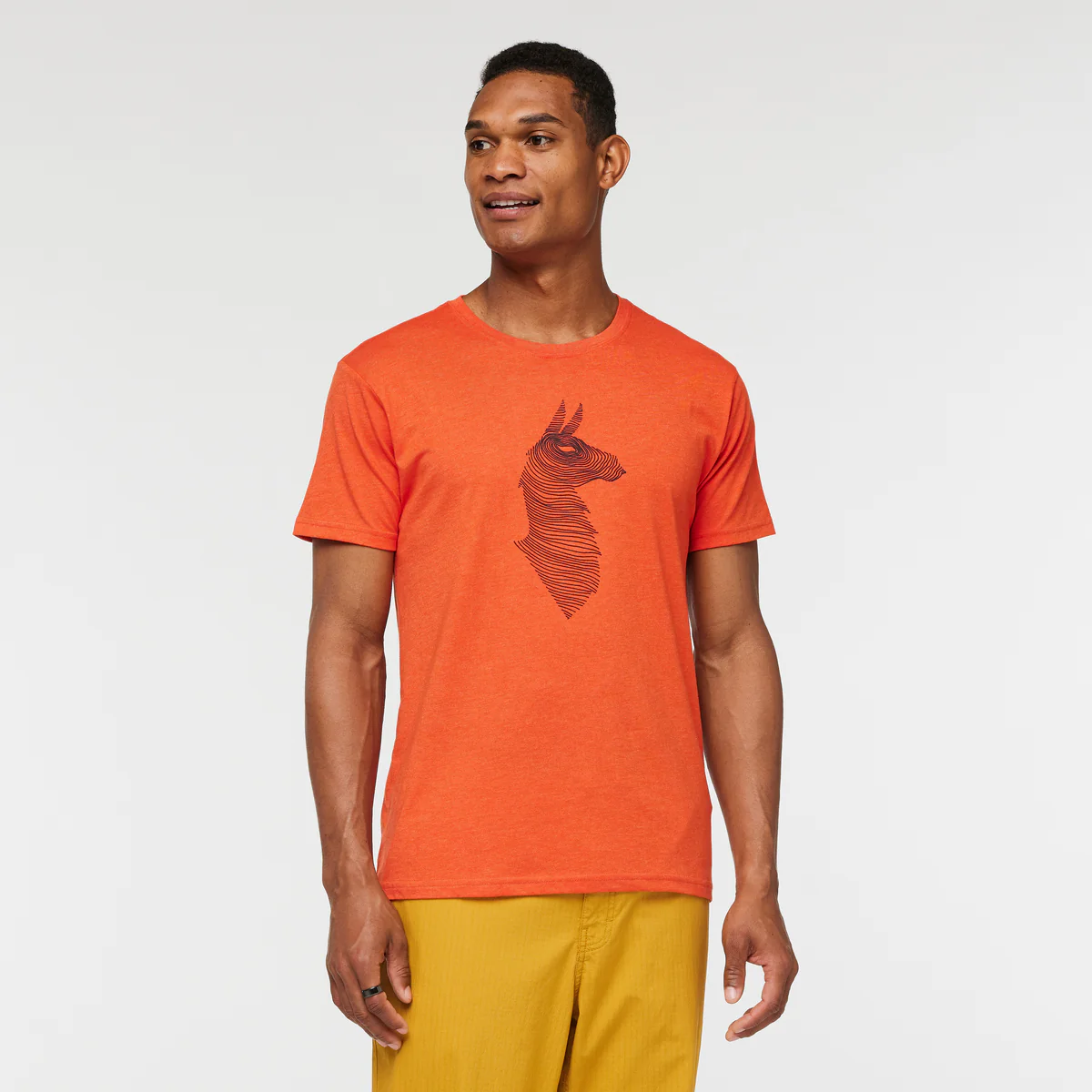 Topo Llama T-Shirt - Men's - Image 14