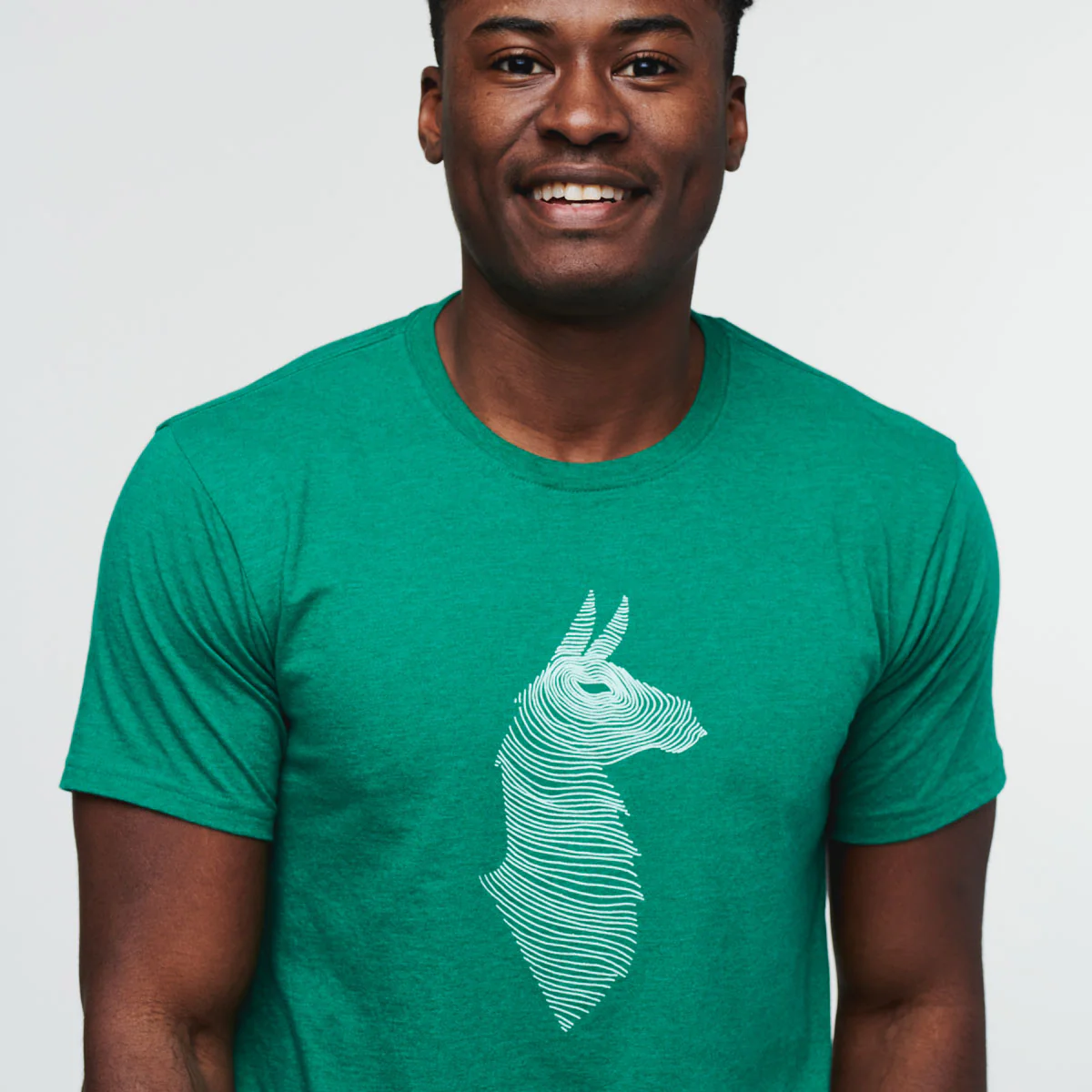 Topo Llama T-Shirt - Men's - Image 2
