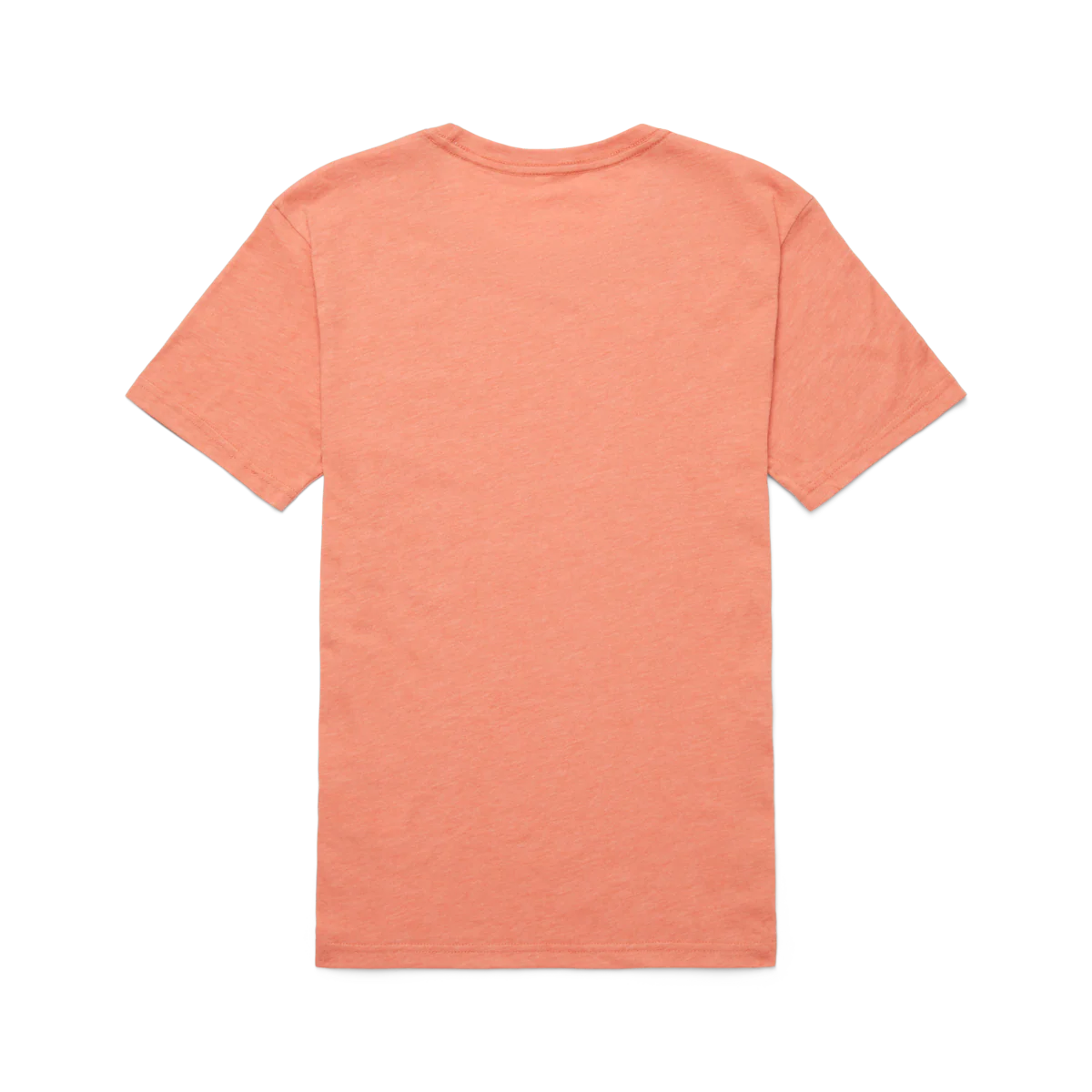 Topo Llama T-Shirt - Women's - Image 18