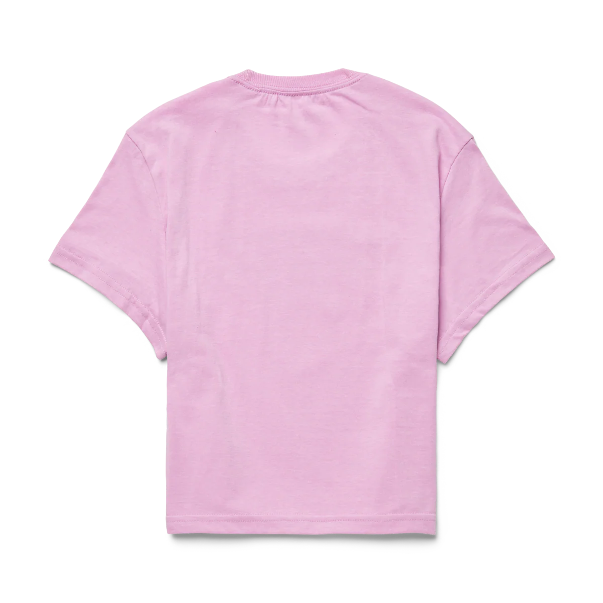 Western Hills Crop T-Shirt - Women's - Image 14